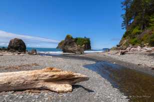 Ruby Beach-7275.jpg